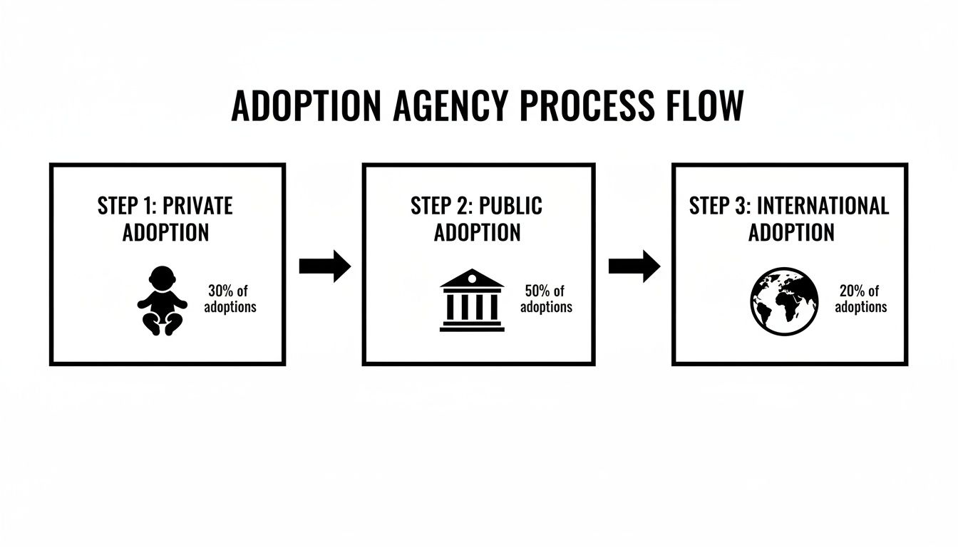 Flowchart illustrating the adoption agency process with private, public, and international adoption steps.