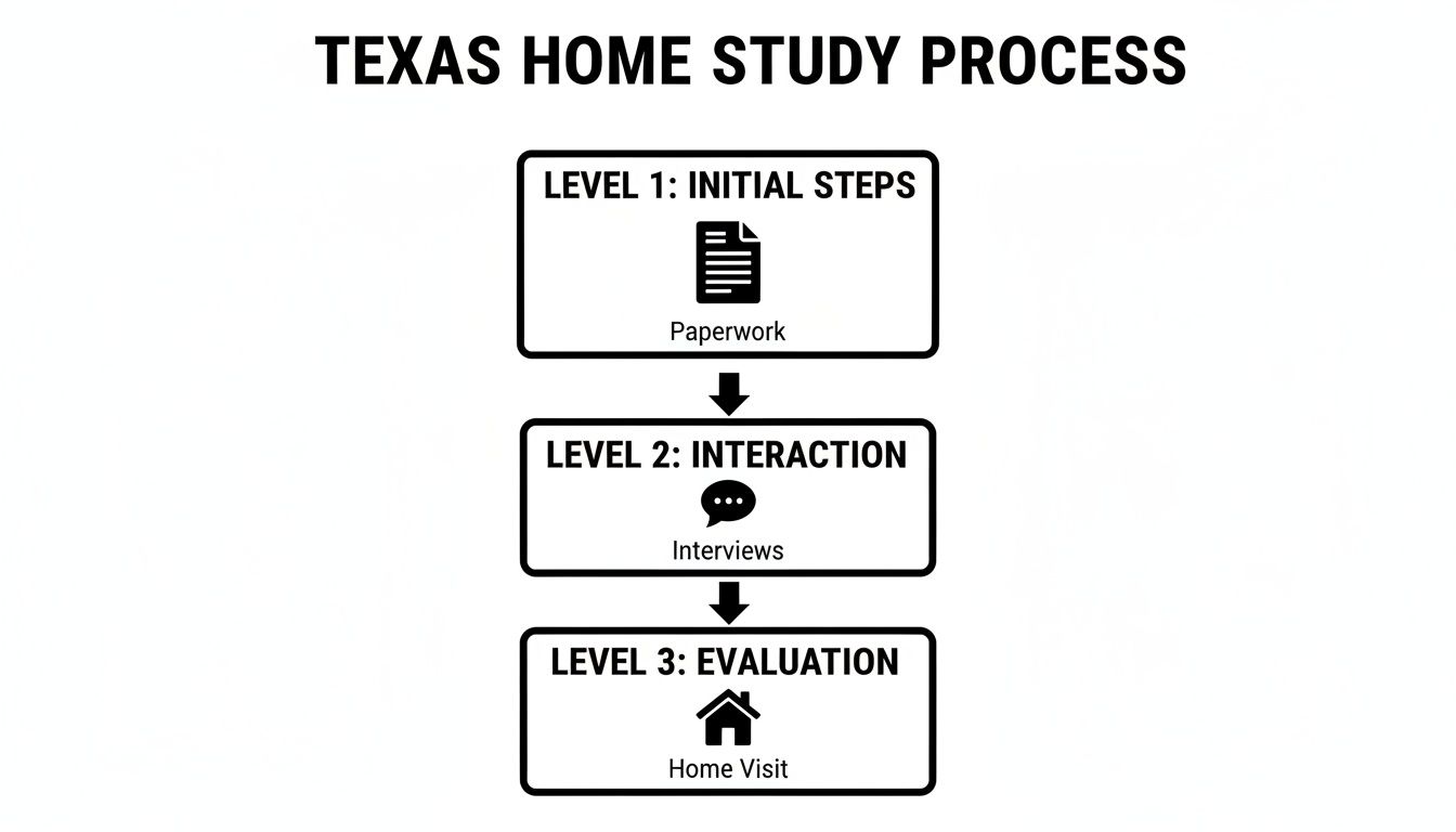 Flowchart illustrating the three-level Texas home study process: paperwork, interviews, and home visit.