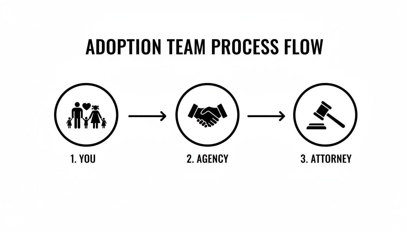 A flow chart illustrating the adoption team process, including You, Agency, and Attorney.