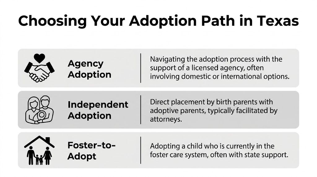 A visual guide outlining three common paths for adoption in Texas: agency, independent, and foster-to-adopt.