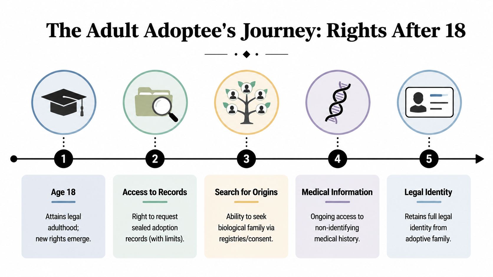 A five-step infographic illustrating the rights of adult adoptees after reaching age 18.